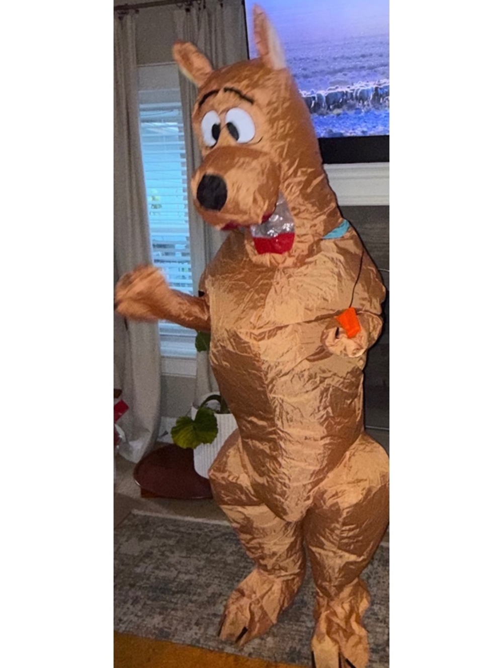 Scooby-Doo Inflatable Adult Halloween Costume Brown Dog Full Body